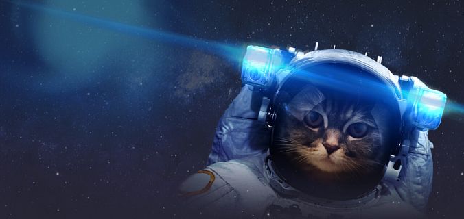 Ноябрьский релиз