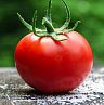 Pomodoro: все секреты одной из самых простых техник повышения продуктивности