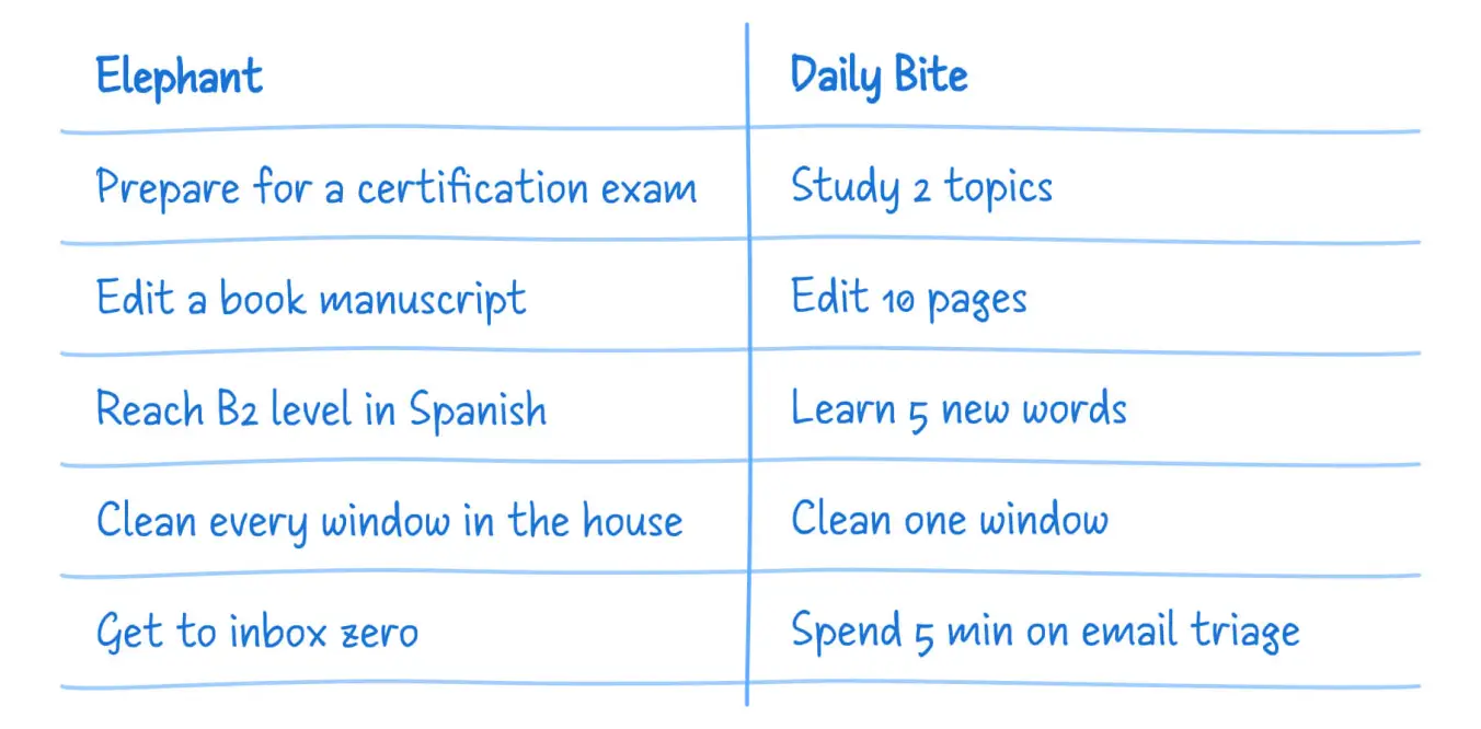 Examples of elephants and their corresponding daily bites